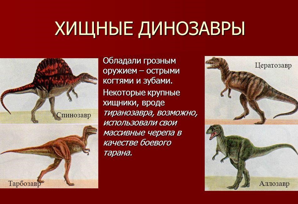 Открытки